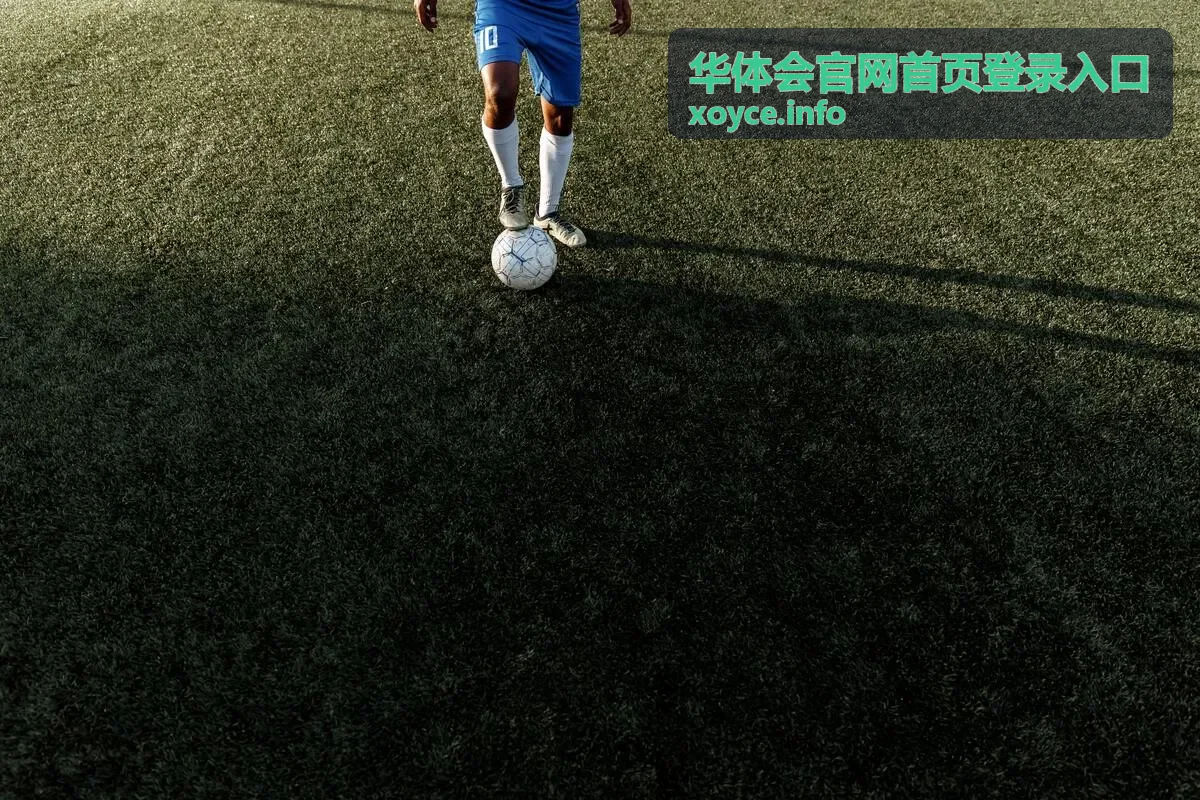 华体会官网首页登录入口服务通览